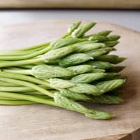 asperges sauvages