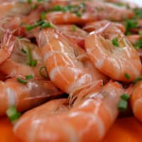 crevettes roses