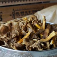 chanterelles
