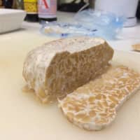 tempeh