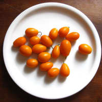 kumquat