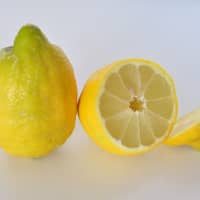 citron jaune