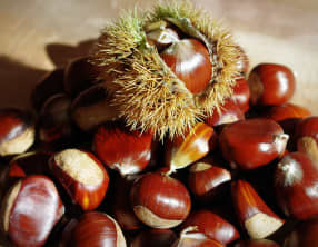 Les châtaignes