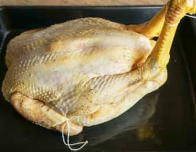 Techniques appliquées aux volailles et gibier à plumes