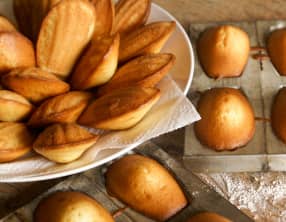 Madeleine