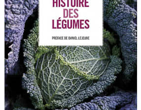 Histoire des légumes