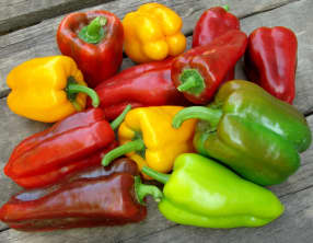 Les poivrons