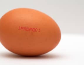 Proportions, grammages et origines des oeufs
