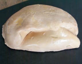 Qu'est ce que le foie gras ?