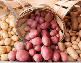 Les pommes de terre de conservation