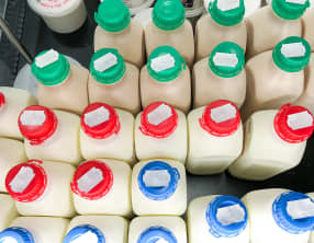 Le lait - Composition et standardisation du lait