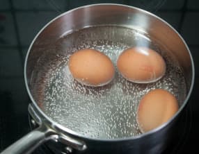 Techniques appliquées aux oeufs