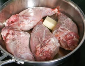 Techniques appliquées au lapin