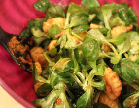 Salade estivale de gnocchis au fromage et pesto rosso