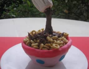 Gravity Cake bol de céréales