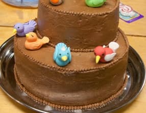 Gâteau au chocolat praliné