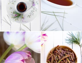 Liqueur de bourgeons de pin