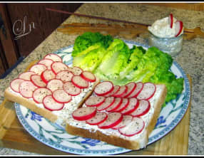 Tartines fraicheur au radis et au Val de Vienne