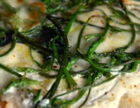 Pizza bianca au Houblon sauvage et au Chèvre frais