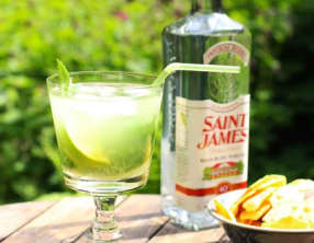 Le Mojito au miel et à la cataire