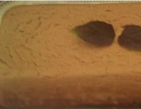 Terrine de courgette au fromage frais et saumon fumé