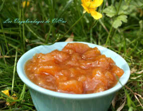 Confiture poires, nectarines, vanille
