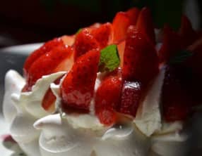 Un nouveau tutu pour la Pavlova ?