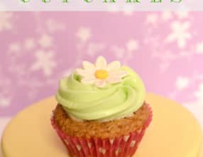 Hummingbird Cupcakes