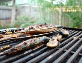 Sardines au barbecue