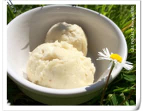 Sorbet à la rhubarbe