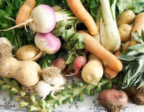 navets farcis en sauce poulette