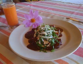 Ragoût de dinde épicé à la mexicaine, mole poblano