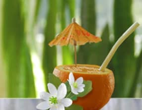 Boisson fraîche aux oranges, glace à la vanille