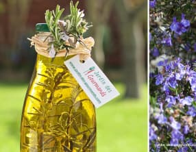 10 recettes pour profiter de la saveur du romarin