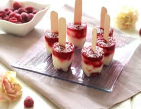 Yaourt glacé à la noix de coco et framboise