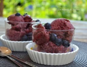 Sorbet aux myrtilles