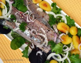 Maatjes aux 5 baies et pommes de terre rissolées