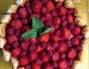 Entremet framboise chocolat, façon charlotte