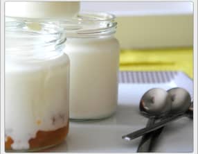 Yaourts sucrés maison sur lit d'abricots