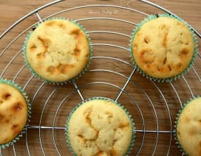 Base pour muffins et cupcakes