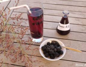 Sirop de mûres anti-gaspi