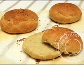 Pains buns spécial burgers