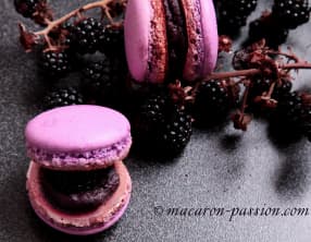 Macarons mûre chocolat noir