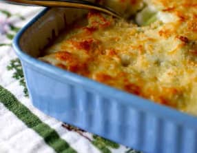 Gratin de Chouchou