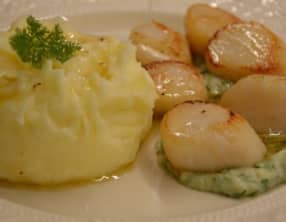 Coquilles Saint-Jacques, écrasée de pomme de terre, embeurrée de fenouil