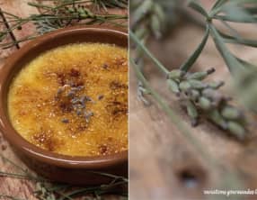 Crèmes brûlées à la lavande