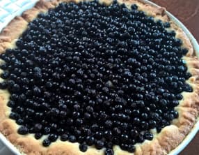 Tarte aux myrtilles facile
