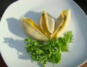 Hellix Pomatia en Provence