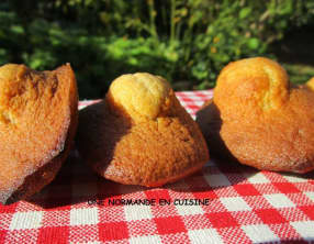 Madeleines ardéchoises