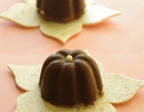 Petites charlottes coque chocolat coeur ananas